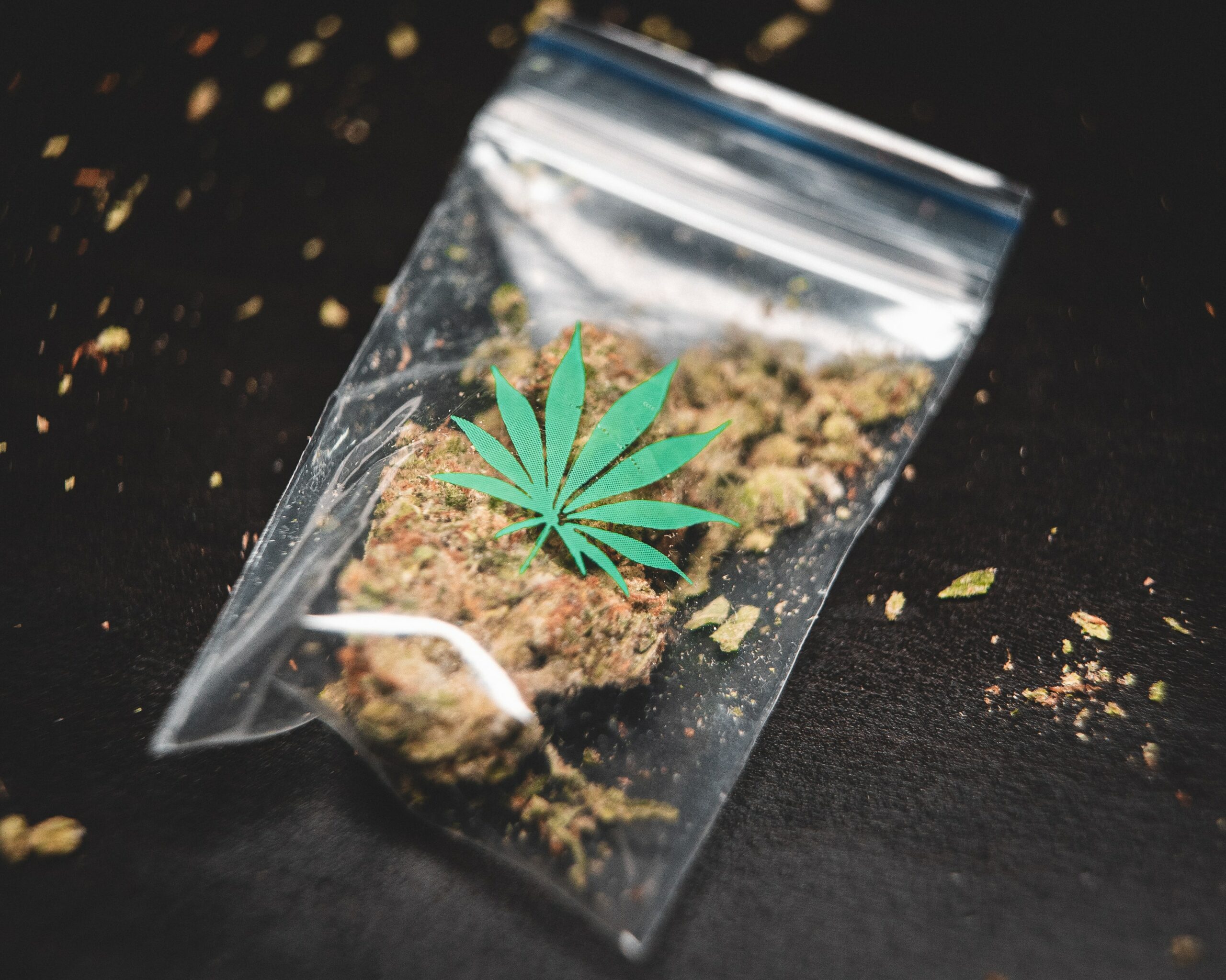 Hvordan marijuana, også omtalt som hasj eller weed påvirker ungdom